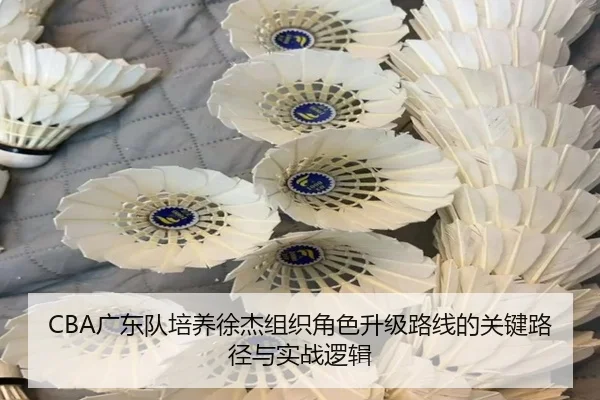 CBA广东队培养徐杰组织角色升级路线的关键路径与实战逻辑