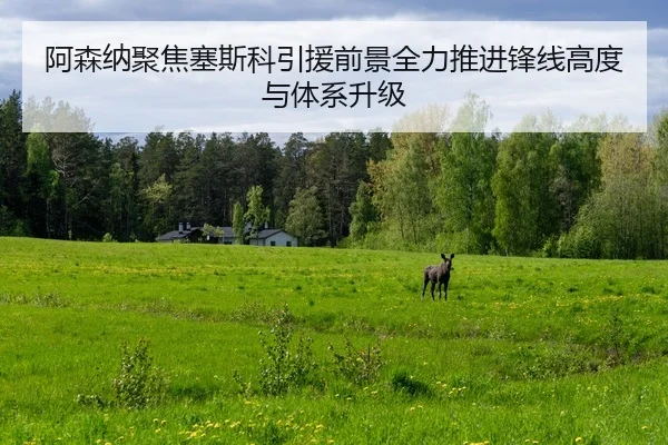 阿森纳聚焦塞斯科引援前景全力推进锋线高度与体系升级