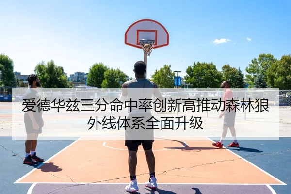 爱德华兹三分命中率创新高推动森林狼外线体系全面升级